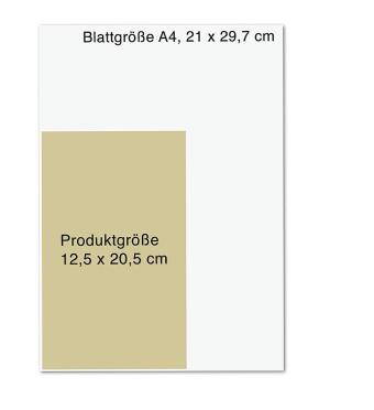 Die Mitternachtsreise