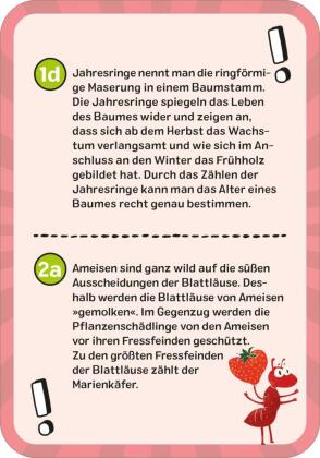 Das ultimative Wissens-Quiz