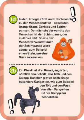 Das ultimative Wissens-Quiz