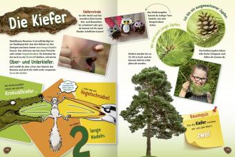 Unsere Wälder