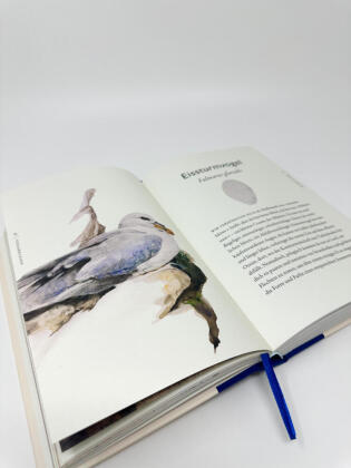 Das Buch der Vögel