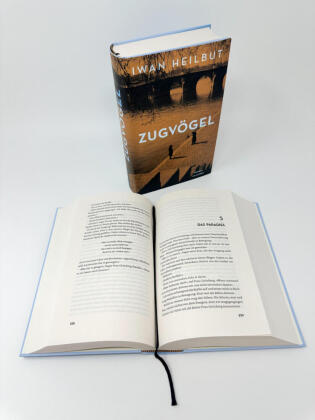 Zugvögel