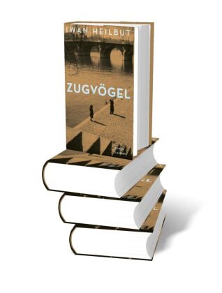 Zugvögel
