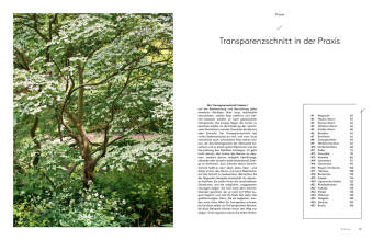 Transparenzschnitt