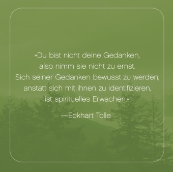 Die Jetzt-Box
