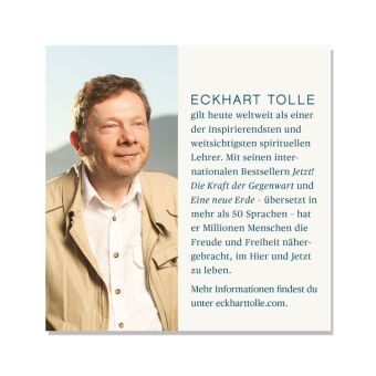 Die Jetzt-Box