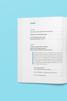 Die 3 Säulen der Gesundheit 