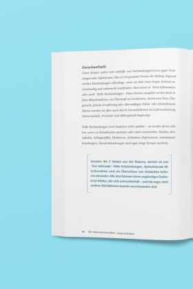 Die 3 Säulen der Gesundheit 