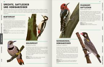 Das große Lexikon der Vögel 