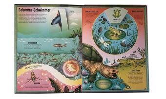 Das unglaubliche Pop-up-Buch - Am Wasser