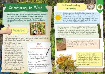 Naturforscher-Kids - Mitmachbuch im Wald 