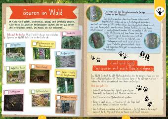 Naturforscher-Kids - Mitmachbuch im Wald 