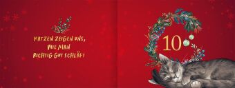 Pfoten vom Tannenbaum