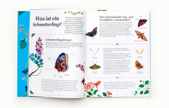 Schmetterlinge