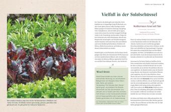 Alte Gemüsepflanzen wiederentdeckt