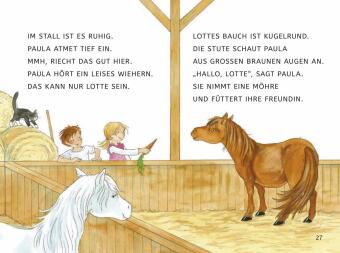 Leseprofis - GROSSBUCHSTABEN: EIN FOHLEN NAMENS SCHNUPPE, 1. Klasse