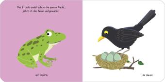 Kennst du das? Babys erstes Bildwörterbuch. Jeden Tag ein neues Tier