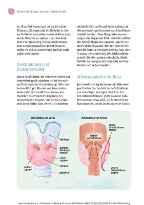 Die beste Ernährung für deine Schilddrüse