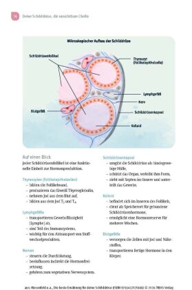 Die beste Ernährung für deine Schilddrüse