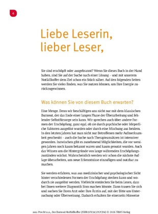 Der Burnout-Notfallkoffer