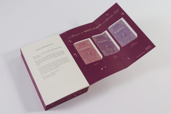 Mont Lacroix (Band 1) - Longing for Lelibeth 