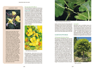Gartenbotanik