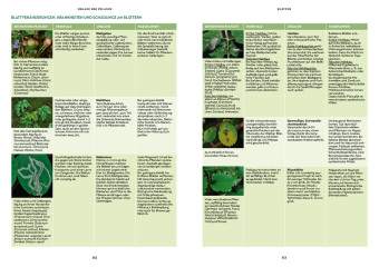 Gartenbotanik