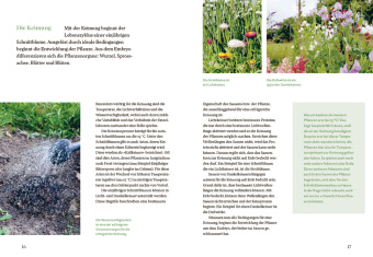 Blütenreich - Schnittblumen mit Herz und Hand vermehren 
