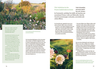 Blütenreich - Schnittblumen mit Herz und Hand vermehren 