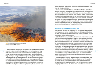 Feuer