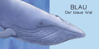 Der Regenbogenfisch Farben