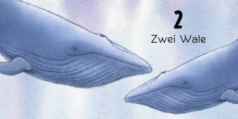 Der Regenbogenfisch Zahlen