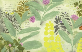 Der Schmetterling
