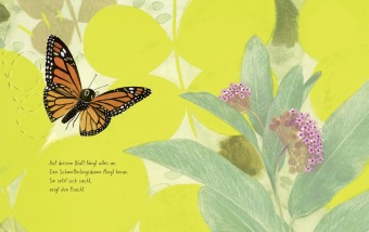 Der Schmetterling
