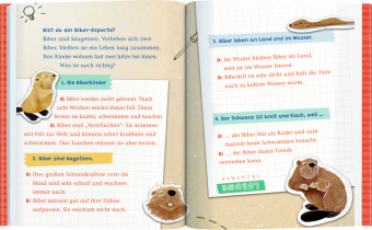 Emil Einstein (Leseanfänger,  