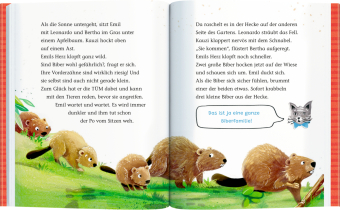 Emil Einstein (Leseanfänger,  