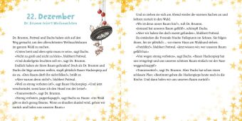 Dr. Brumm: Dr. Brumms verflixter Advent