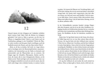 Linn und das Flüstern der Finsternis
