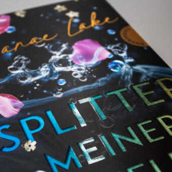Splitter meiner Seele
