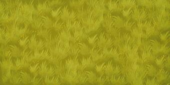 Was ist denn ein Kattonk? 