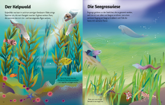 Mein erstes Stickerbuch: Leben im Meer