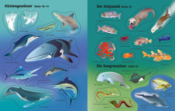 Mein erstes Stickerbuch: Leben im Meer