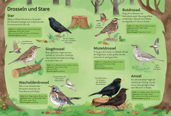 Ich erkunde die Natur: Unsere Vögel