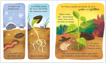 Schau mal, wie ich wachse! Vom Samenkorn zur Blume