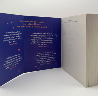 Reminders of Him - Für immer ein Teil von dir 