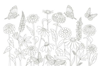 50 cozy Karten zum Ausmalen - Blumentraum
