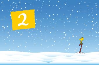Peanuts Geschenkbuch: Mit Snoopy und den Peanuts durch den Advent