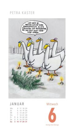 Fiese Bilder Cartoons für jeden Tag 2027: Tagesabreißkalender