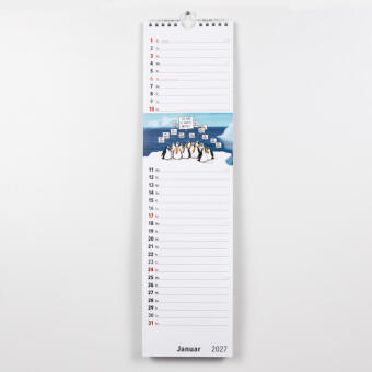 Fiese Bilder Streifenkalender 2027: Monatskalender für die Wand