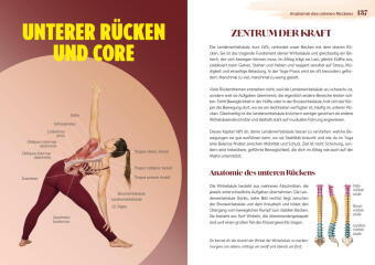 Easy Yoga-Anatomie
